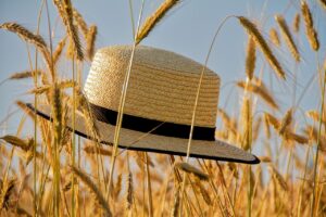 夏の節電に役立つ便利グッズは？