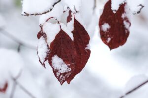 寒い冬に役立つ節電方法とは？