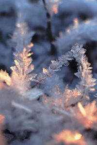 寒い冬に電気代を節約するための効果的な方法は？