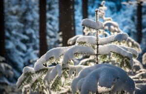 電気代を抑える冬の暖房対策にはどんな方法がある？